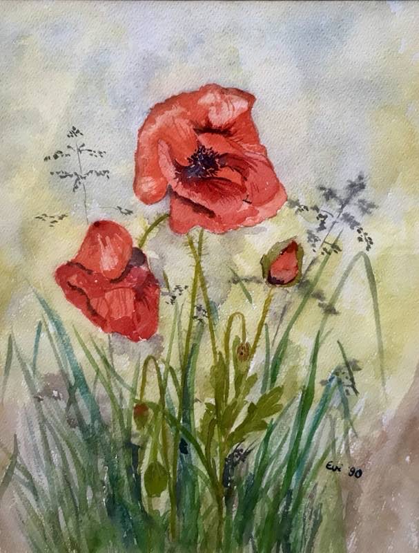 Mohnblumen