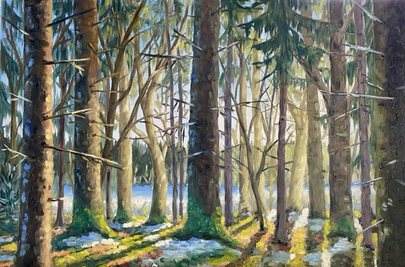 Waldspaziergang im Januar